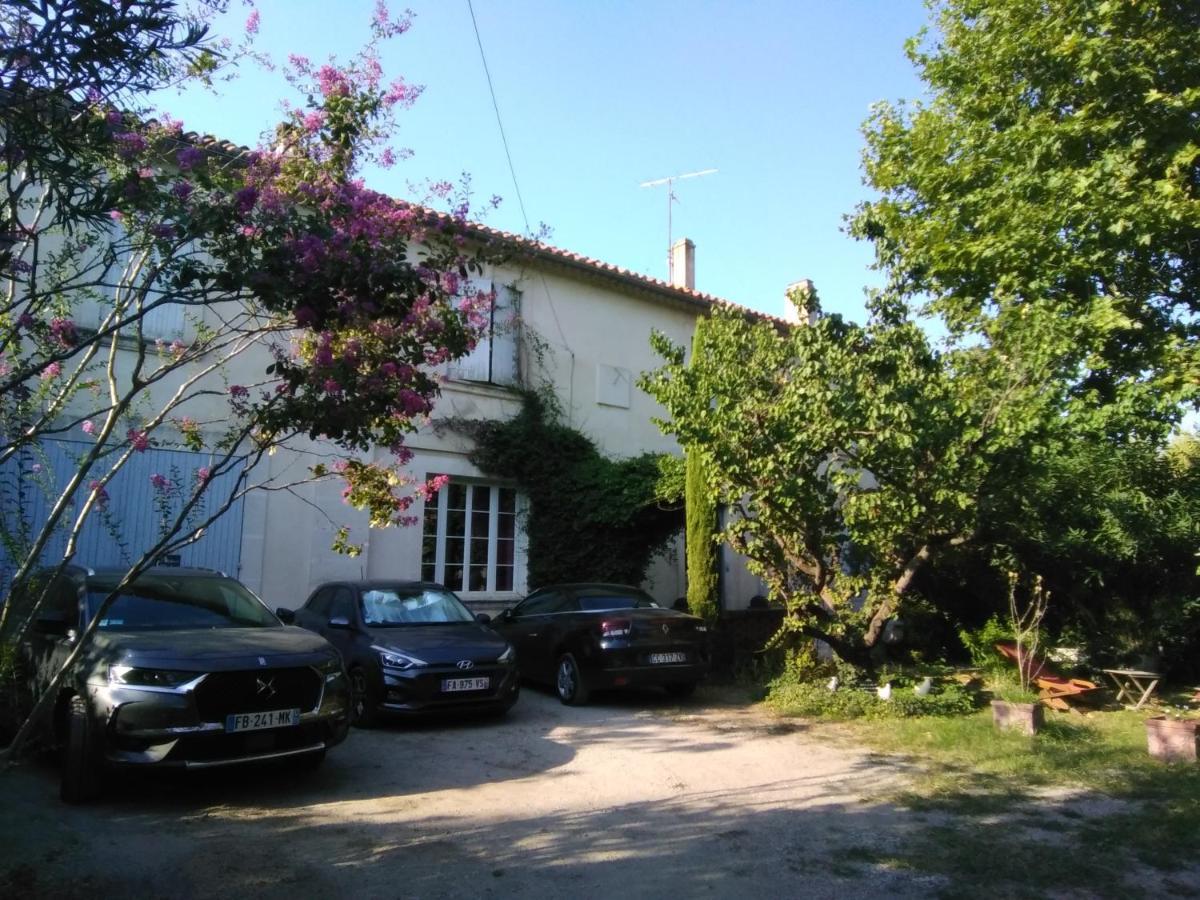 Le Petit Palais Maisonnette Aparthotel Avignon Exterior photo